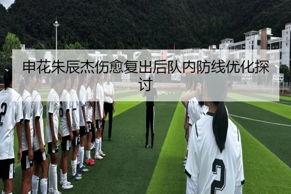 申花朱辰杰伤愈复出后队内防线优化探讨（odapp）